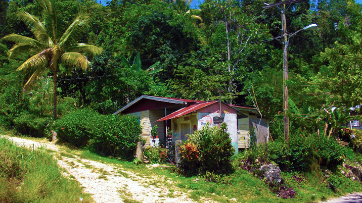 Rural Jamaica where the organic deodorant began